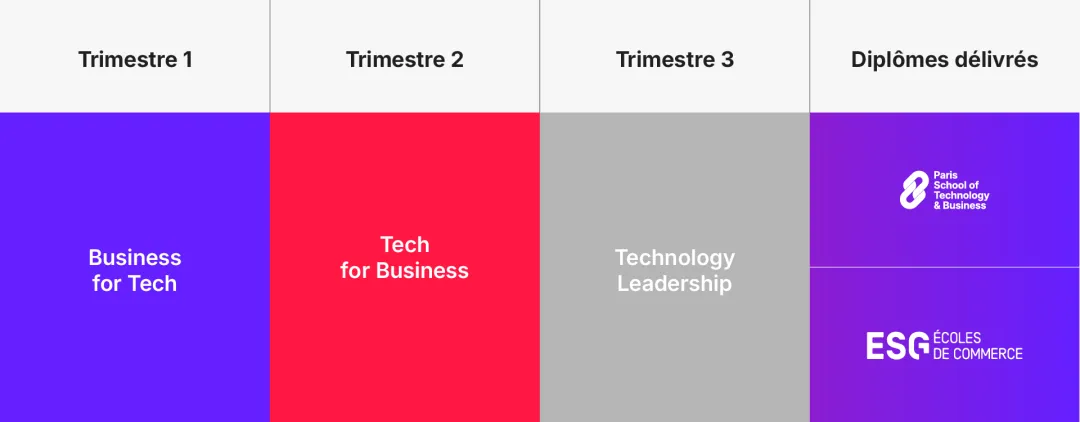 Programme Tech MBA